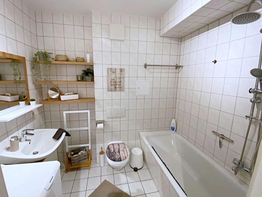 Gruene Idylle In Der Naehe Des Zwenkauer Sees Zwenkau